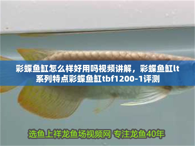 彩蝶魚缸怎么樣好用嗎視頻講解，彩蝶魚缸lt系列特點彩蝶魚缸tbf1200-1評測