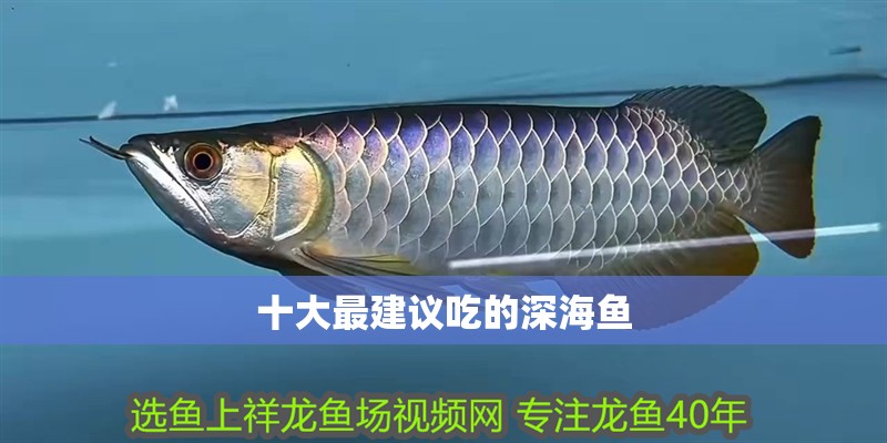 十大最建議吃的深海魚(yú)