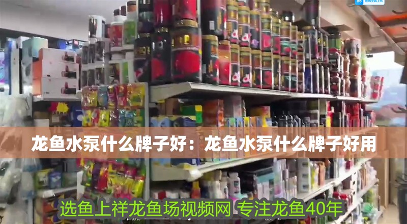 龍魚水泵什么牌子好：龍魚水泵什么牌子好用