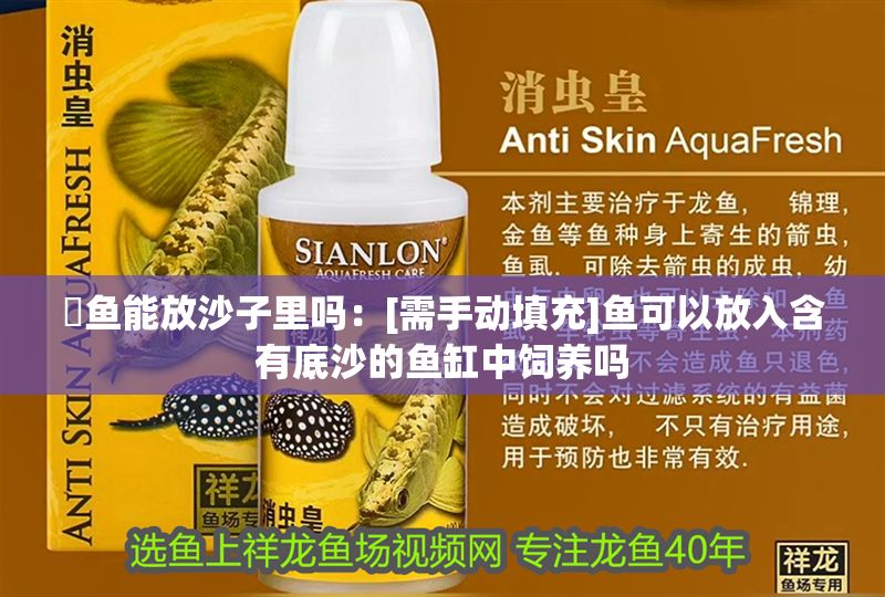 魟魚能放沙子里嗎：[需手動填充]魚可以放入含有底沙的魚缸中飼養嗎