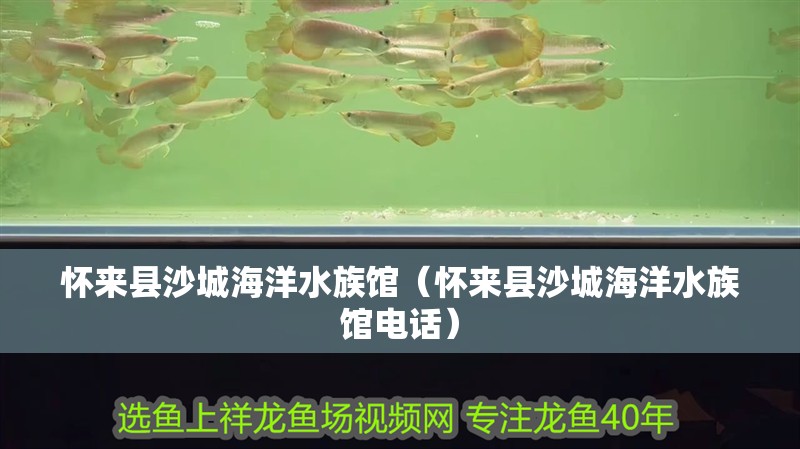 懷來縣沙城海洋水族館（懷來縣沙城海洋水族館電話）