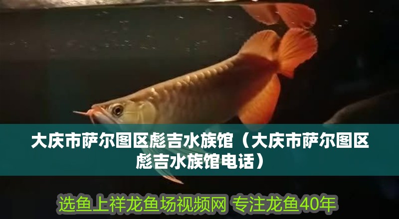 大慶市薩爾圖區(qū)彪吉水族館（大慶市薩爾圖區(qū)彪吉水族館電話）
