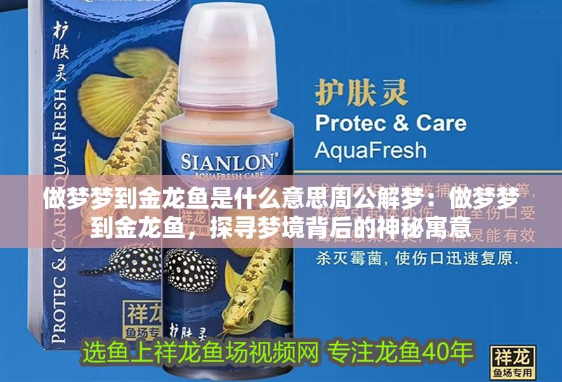 做夢夢到金龍魚是什么意思周公解夢：做夢夢到金龍魚，探尋夢境背后的神秘寓意