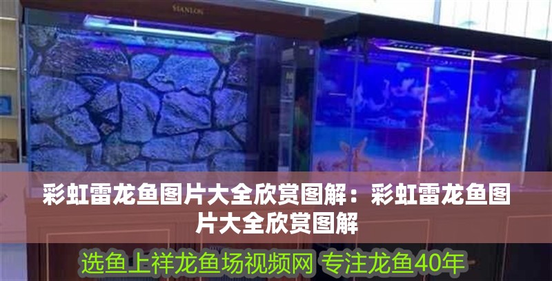 彩虹雷龍魚圖片大全欣賞圖解：彩虹雷龍魚圖片大全欣賞圖解