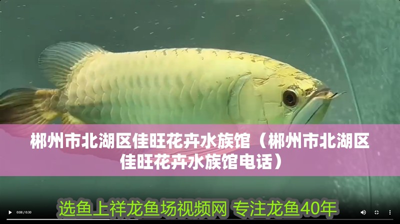 郴州市北湖區佳旺花卉水族館（郴州市北湖區佳旺花卉水族館電話）