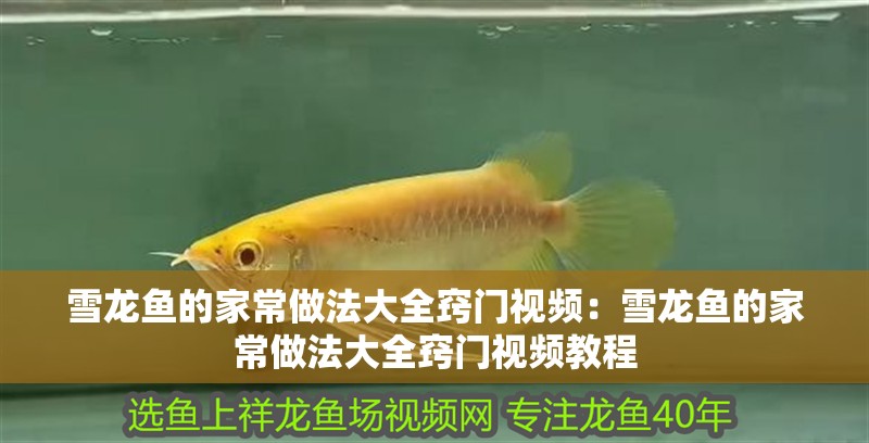 雪龍魚的家常做法大全竅門視頻：雪龍魚的家常做法大全竅門視頻教程