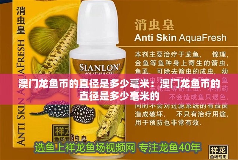 澳門龍魚幣的直徑是多少毫米：澳門龍魚幣的直徑是多少毫米的