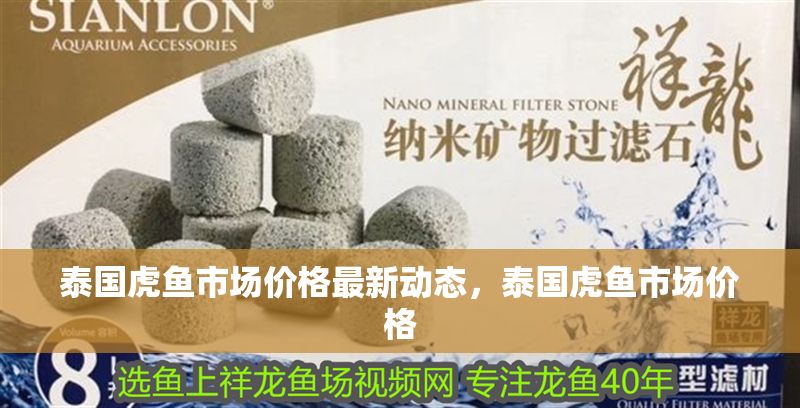 泰國虎魚市場價格最新動態，泰國虎魚市場價格