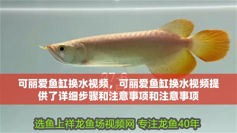 可麗愛魚缸換水視頻，可麗愛魚缸換水視頻提供了詳細步驟和注意事項和注意事項