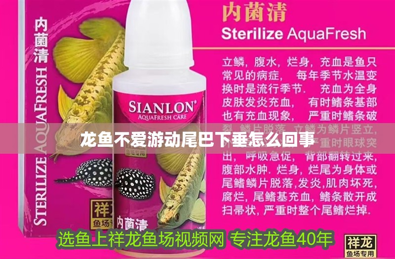 龍魚不愛游動尾巴下垂怎么回事