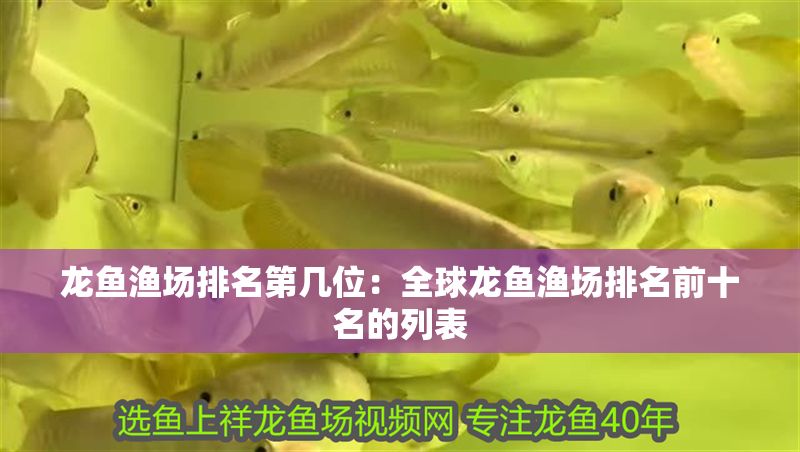 龍魚漁場排名第幾位：全球龍魚漁場排名前十名的列表