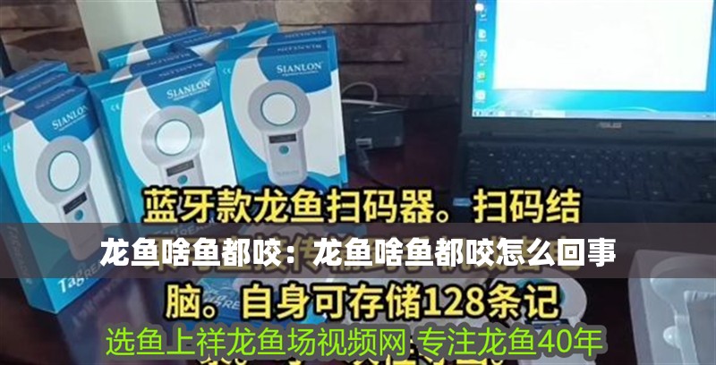 龍魚啥魚都咬：龍魚啥魚都咬怎么回事