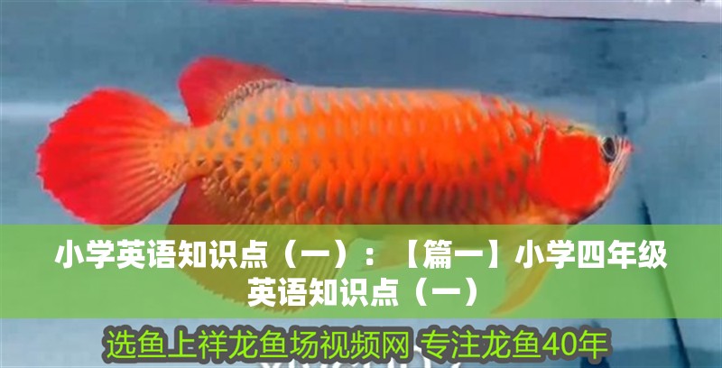 小學(xué)英語知識點（一）：【篇一】小學(xué)四年級英語知識點（一）