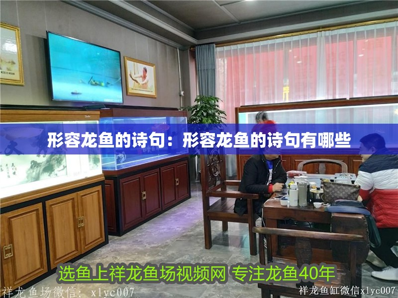 形容龍魚的詩句：形容龍魚的詩句有哪些