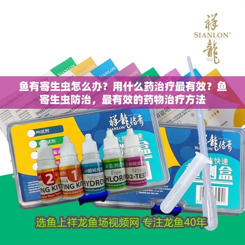 魚有寄生蟲怎么辦？用什么藥治療最有效？魚寄生蟲防治，最有效的藥物治療方法