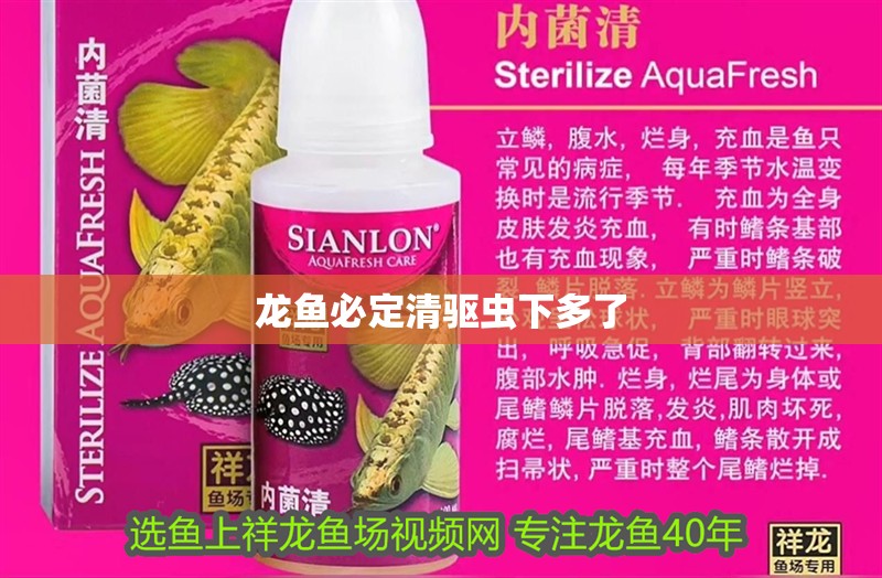 龍魚必定清驅蟲下多了