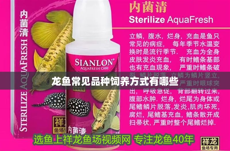 龍魚常見(jiàn)品種飼養(yǎng)方式有哪些