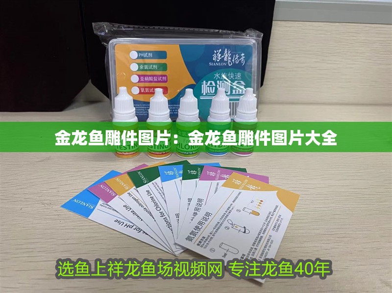 金龍魚雕件圖片：金龍魚雕件圖片大全