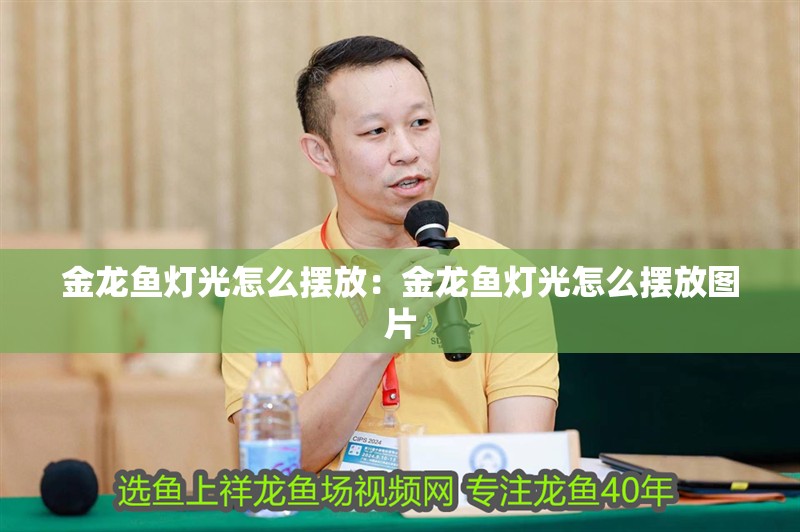 金龍魚燈光怎么擺放：金龍魚燈光怎么擺放圖片