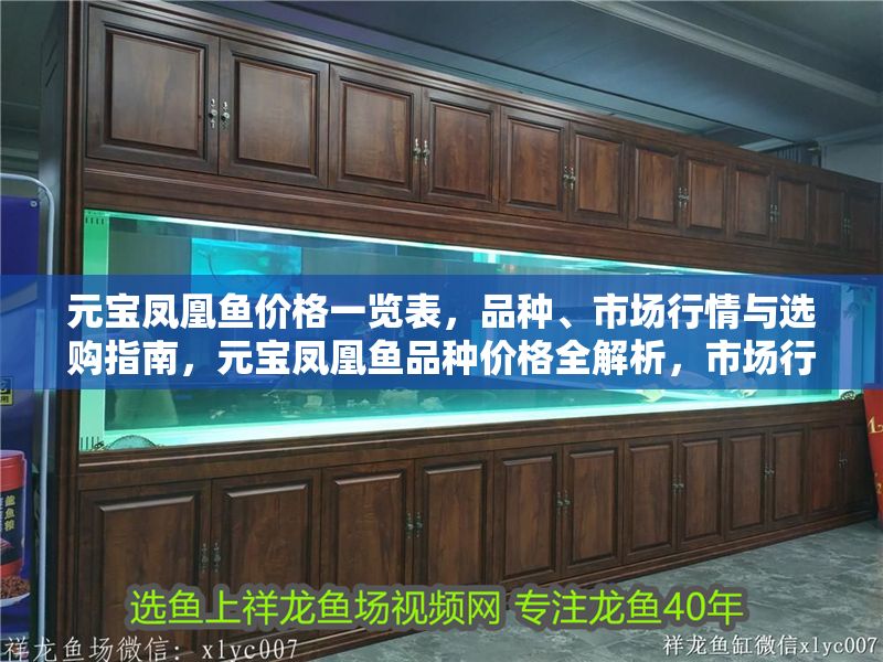元寶鳳凰魚價格一覽表，品種、市場行情與選購指南，元寶鳳凰魚品種價格全解析，市場行情與選購技巧