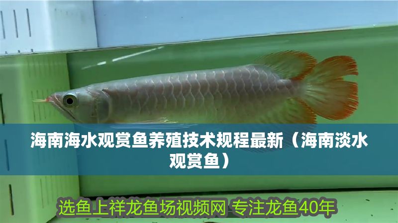 海南海水觀賞魚養(yǎng)殖技術(shù)規(guī)程最新（海南淡水觀賞魚） 海南海水觀賞魚養(yǎng)殖技術(shù)規(guī)程最新（海南淡水觀賞魚） 魟魚百科 第1張