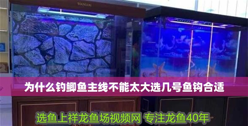 為什么釣鯽魚主線不能太大選幾號魚鉤合適