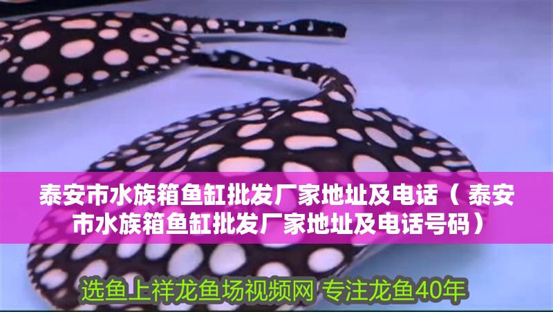 <strong><mark>泰安</mark></strong>市水族箱魚缸批發(fā)廠家地址及電話（ <strong><mark>泰安</mark></strong>市水族箱魚缸批發(fā)廠家地址及電話號碼）