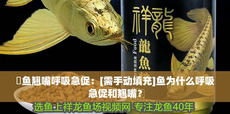 魟魚翹嘴呼吸急促：[需手動填充]魚為什么呼吸急促和翹嘴？
