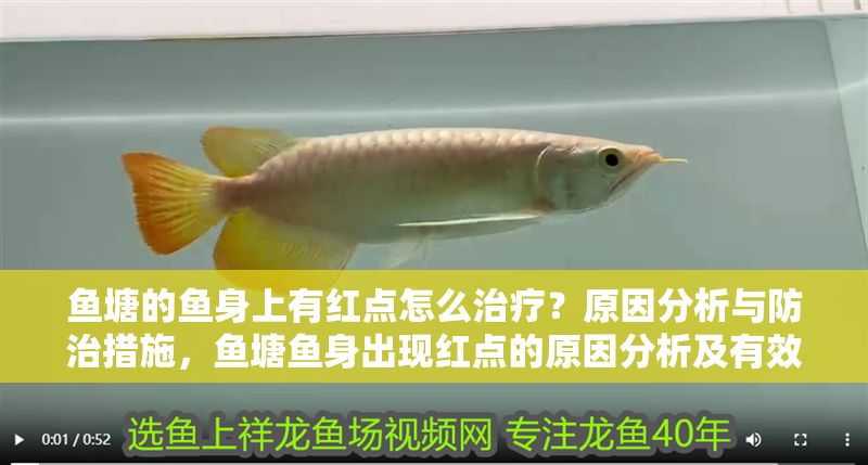 魚塘的魚身上有紅點怎么治療？原因分析與防治措施，魚塘魚身出現(xiàn)紅點的原因分析及有效防治方法