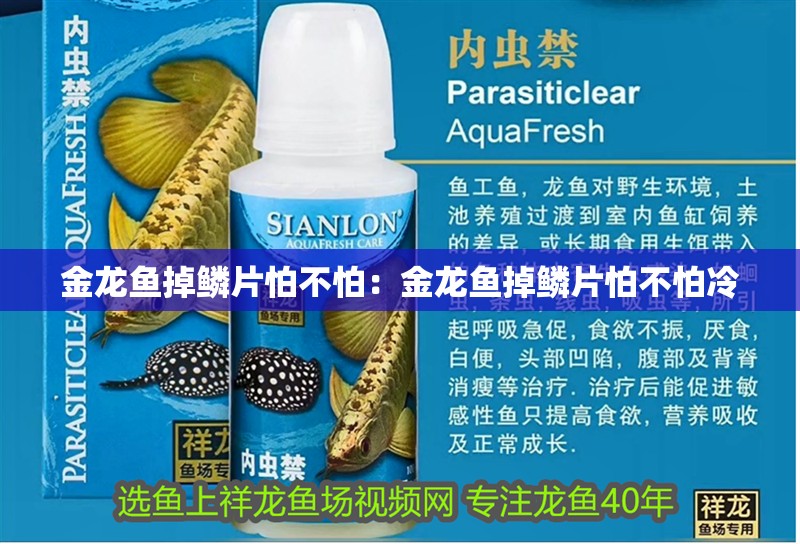 創寧變頻水泵壽命多少年（創寧變頻水泵壽命多少年更換）