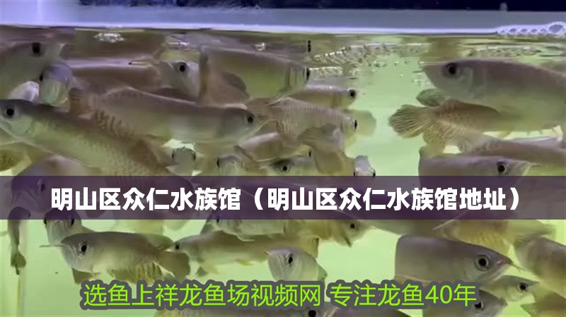 明山區眾仁水族館（明山區眾仁水族館地址）
