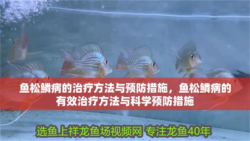 魚松鱗病的治療方法與預防措施，魚松鱗病的有效治療方法與科學預防措施