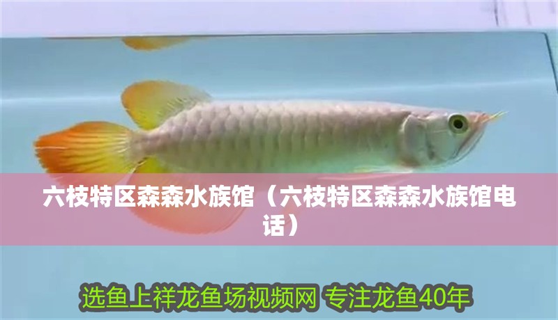 <strong><mark>六枝</mark></strong>特區森森水族館（<strong><mark>六枝</mark></strong>特區森森水族館電話）