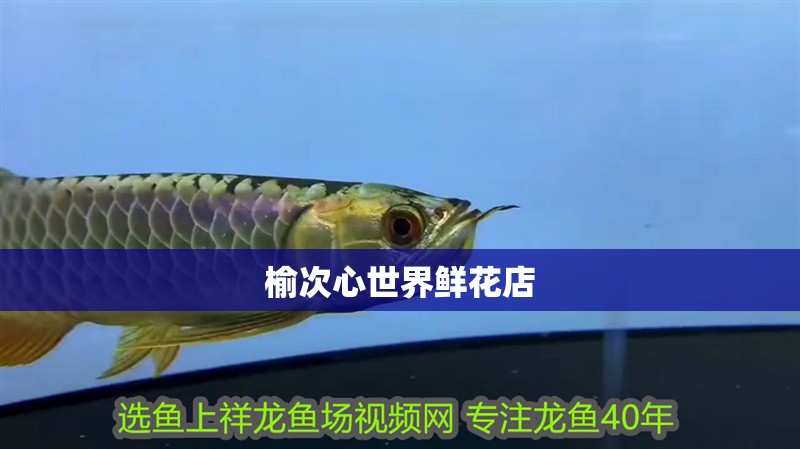 榆次心世界鮮花店 榆次心世界鮮花店 全國水族館企業名錄 第2張