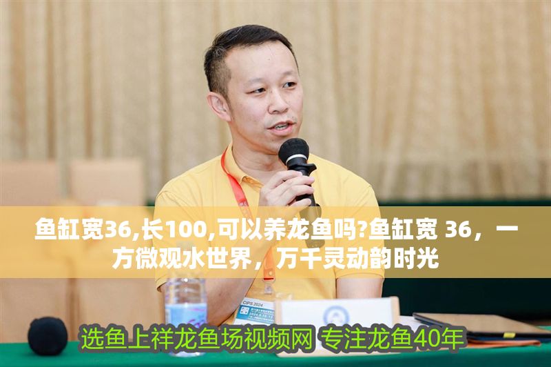 魚缸寬36,長100,可以養龍魚嗎?魚缸寬 36，一方微觀水世界，萬千靈動韻時光