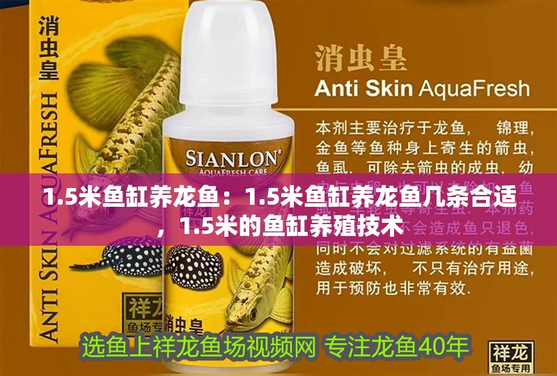 1.5米魚(yú)缸養(yǎng)龍魚(yú)：1.5米魚(yú)缸養(yǎng)龍魚(yú)幾條合適，1.5米的魚(yú)缸養(yǎng)殖技術(shù)