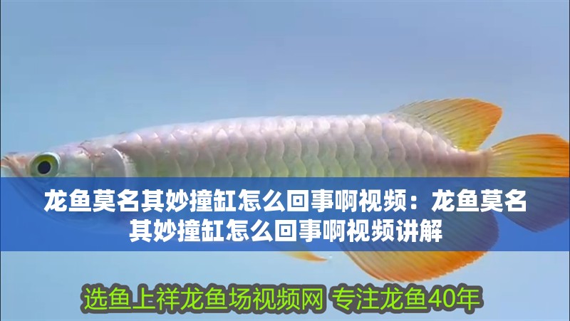 博特魚缸好嗎安全嗎（博特魚缸好嗎安全嗎可靠嗎）