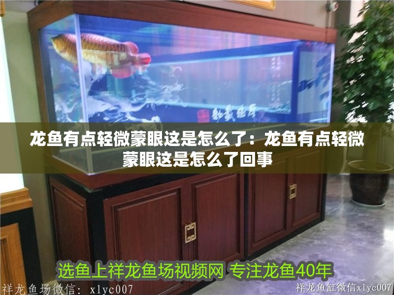 龍魚有點輕微蒙眼這是怎么了：龍魚有點輕微蒙眼這是怎么了回事