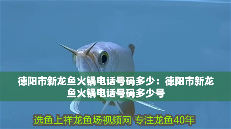 德陽市新龍魚火鍋電話號碼多少：德陽市新龍魚火鍋電話號碼多少號