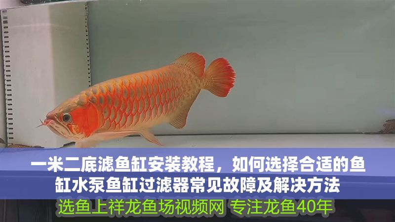 一米二底濾魚缸安裝教程，如何選擇合適的魚缸水泵魚缸過濾器常見故障及解決方法