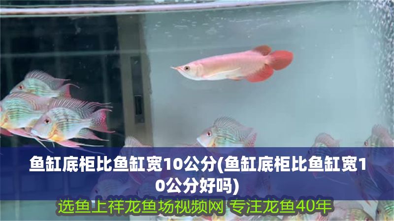 魚缸底柜比魚缸寬10公分(魚缸底柜比魚缸寬10公分好嗎)