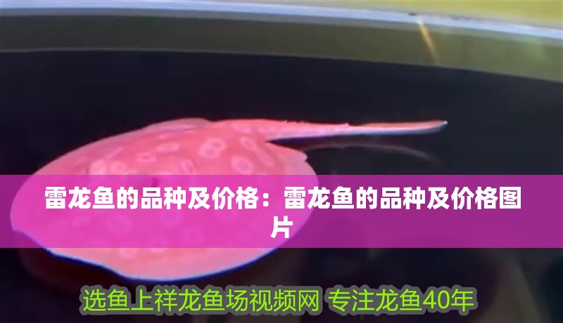 雷龍魚的品種及價格：雷龍魚的品種及價格圖片