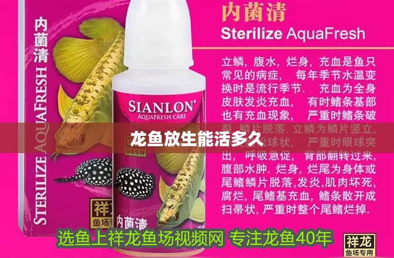 龍魚放生能活多久