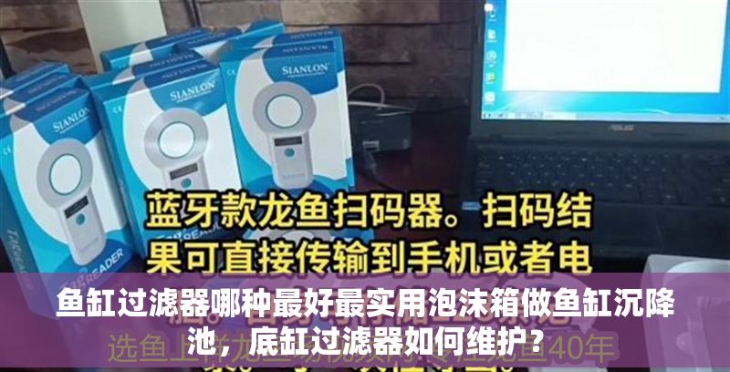 魚缸過濾器哪種最好最實用泡沫箱做魚缸沉降池，底缸過濾器如何維護？