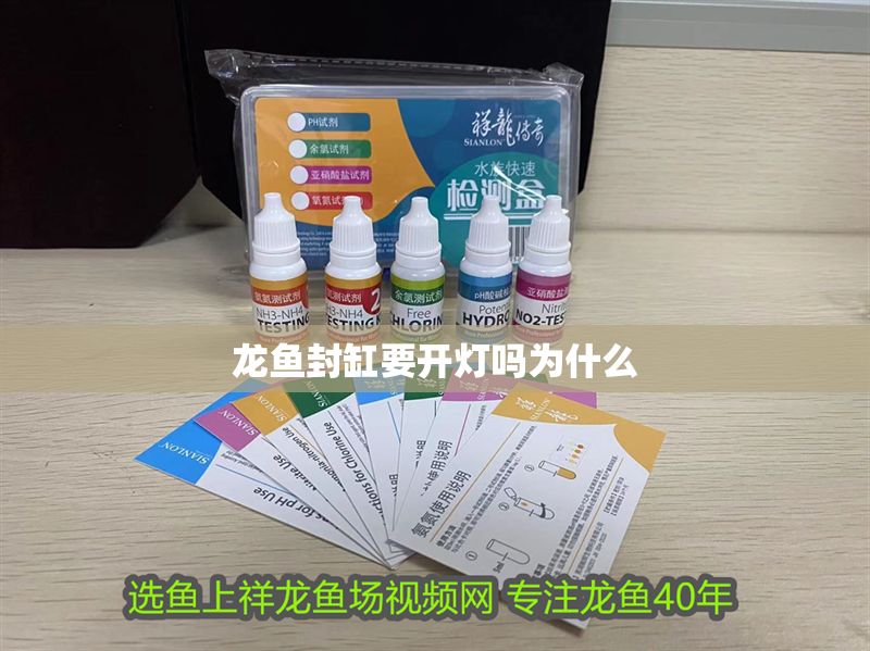 龍魚封缸要開燈嗎為什么