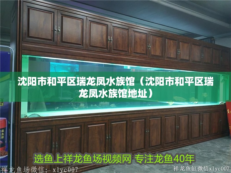 沈陽市和平區瑞龍鳳水族館（沈陽市和平區瑞龍鳳水族館地址）