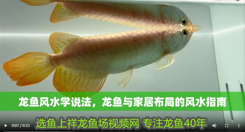 龍魚風水學說法，龍魚與家居布局的風水指南