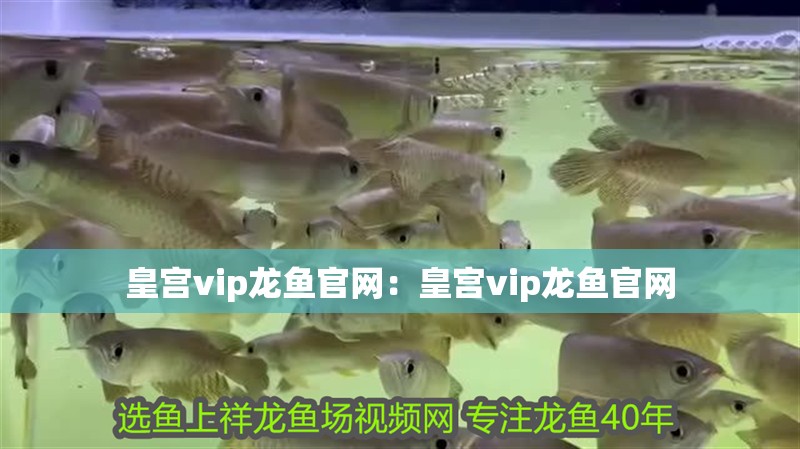 皇宮vip龍魚(yú)官網(wǎng)：皇宮vip龍魚(yú)官網(wǎng)