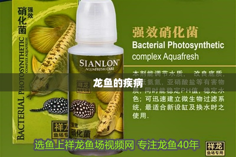 龍魚的疾病