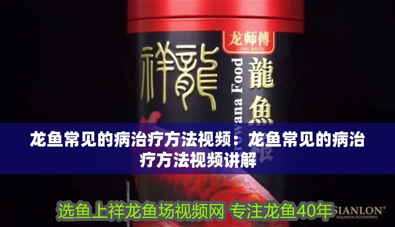 龍魚常見(jiàn)的病治療方法視頻：龍魚常見(jiàn)的病治療方法視頻講解